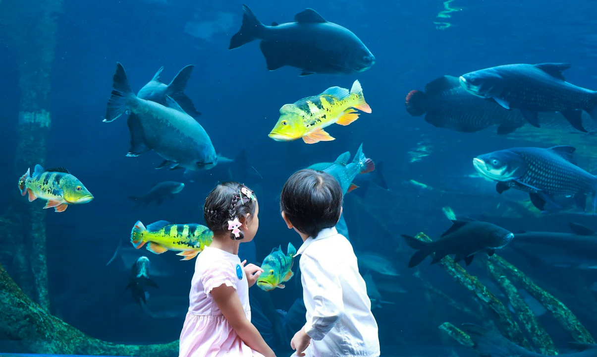 Combo: Carnival Magic Phuket and Aquaria Phuket